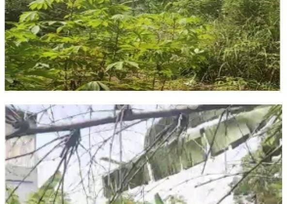 Tanah Kosong Cocok Untuk Perumahan Di Raya Padjajaran S6863