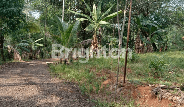 KAVLING TANAH LUAS 7,3 H STRATEGIS CARIU JONGGOL