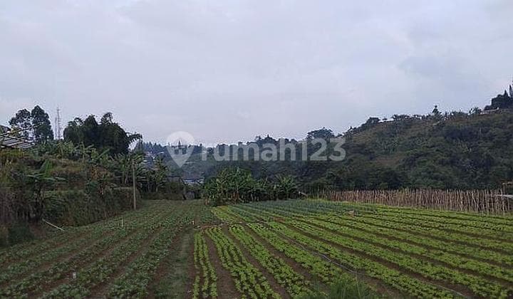 Tanah 15.000 Meter Di Sersan Bajuri - Setiabudi Bandung Utara