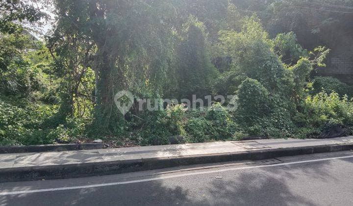 Hot List of Premium Land for Sale in Seminyak Badung Location