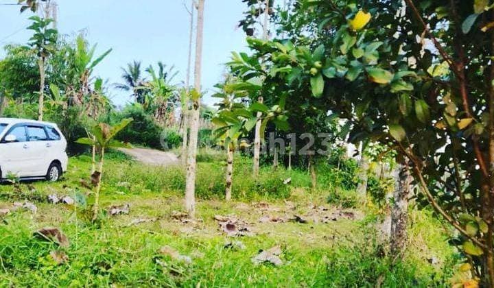 Hot List of Land for Sale with Hill, Mountain Views, Buturiti Bedugul Bali Location