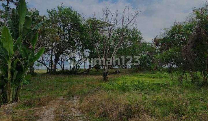 Hot List Di Jual Tanah Loss Pantai View Laut Dan Sunset Lokasi Cemagi Mengwi Badung