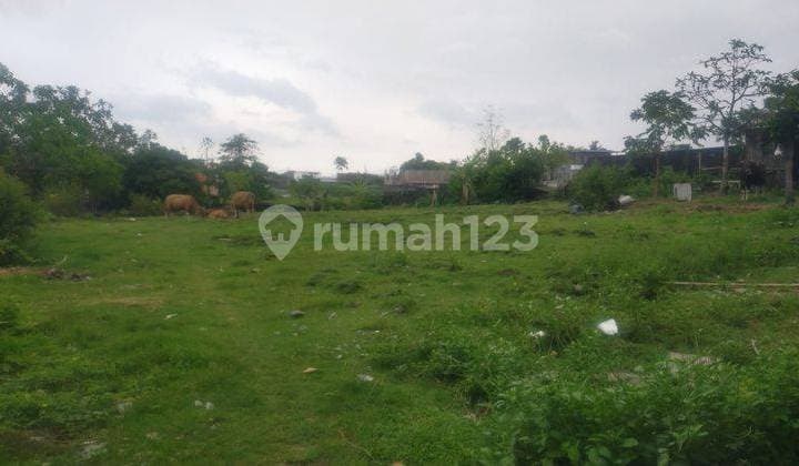 Hot List Di Jual Tanah View Sawah Lokasi Bumbak Umalas Kerobokan Kuta Utara