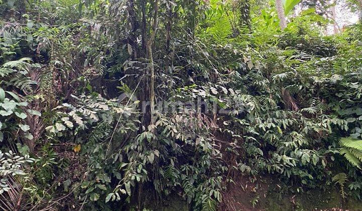 Hot List Di Jual Tanah View Sawah Lokasi Peliatan Ubud