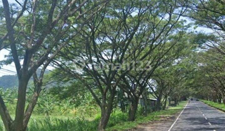 Hot List Di Jual Tanah Lokasi By Pass Ida Bagus Mantra Kusamba Klungkung