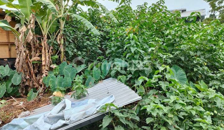 Hot List Di Jual Tanah Kavling Lokasi Jantuk Angsa Pererenan Canggu