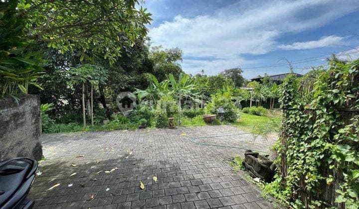 Hot List Di Jual Tanah Loss Sungai View Sawah Jalur Hijau Lokasi Bumbak Dauh Umalas
