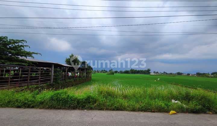 Dijual Tanah Sapan Bandung