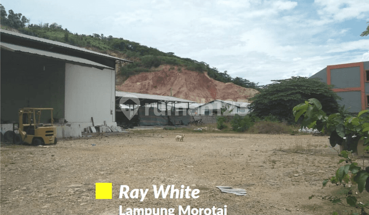 Tanah Plus Bangunan Jl Alimudin Umar