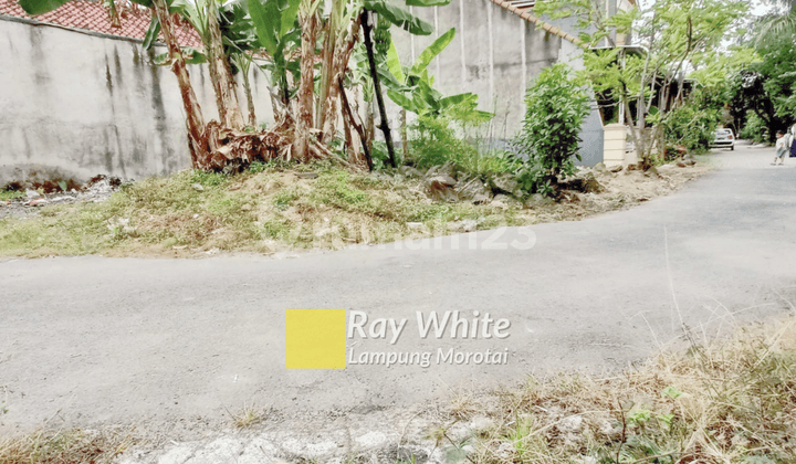 Tanah Jl Pulau Morotai