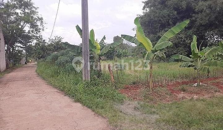 Dijual Cepat Tanah di Tajur Halang Bogor