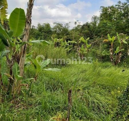 Dijual Cepat Unit Tanah di Payangan Ubud Bali