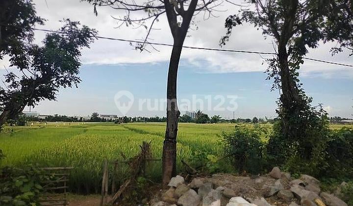 The land in Cikande Serang is suitable for industrial area development.