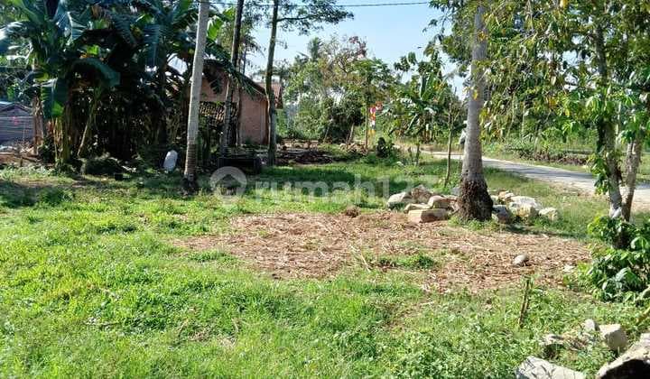 Tanah Jati Agung Lampung Selatan