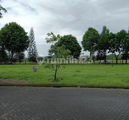 Cluster cajuputi de park bsd