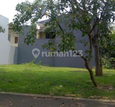 kav vine yard bsd