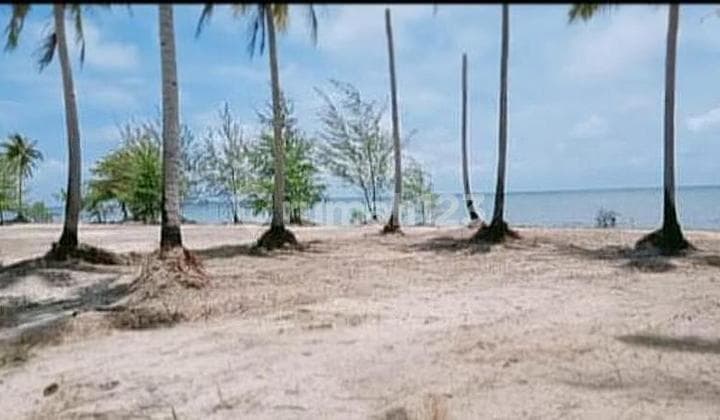Dijual Tanah Pariwisata Tepi Pantai Pulau Bintan Tanjung Pinang