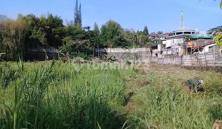 Tanah Kebun Di Padarincang Palasari Cipanas Jawa Barat