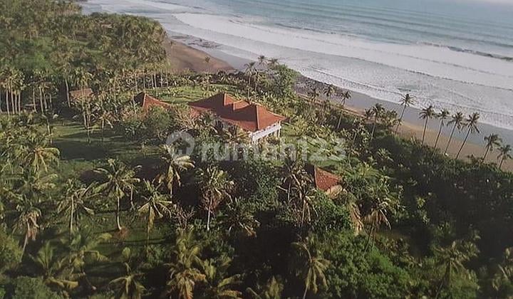 Tanah dijual di bali 3.5 ha harga murah dan butuh uang