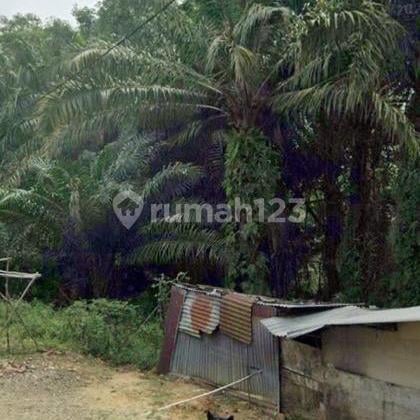 TANAH DEKAT DANAU BUATAN DERMAGA 2 PEKANBARU TANAH DEKAT DANAU BUATAN DERMAGA 2 PEKANBARU