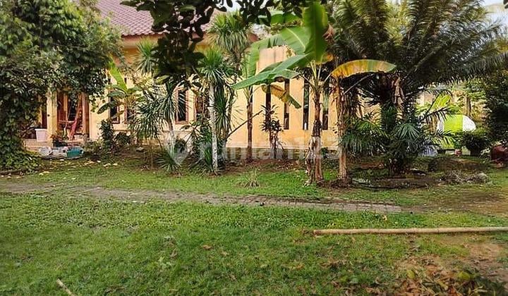 TURUN HARGA TANAH 3000 m2 BONUS RUMAH & KOST DI Pagedangan