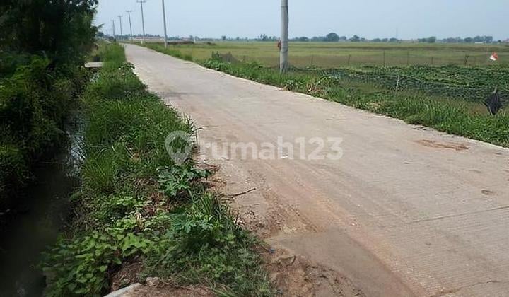 Kavling Luas Di Kronjo Balaraja Tangerang