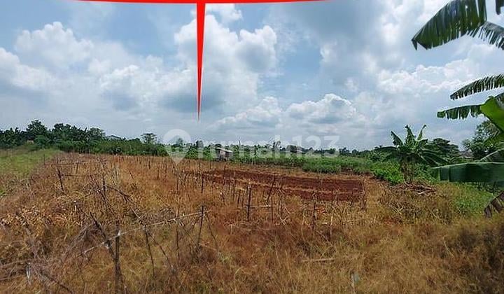 Tanah Di Di Telajung Udik Gunung Putri tepatnya di Telajung Udik