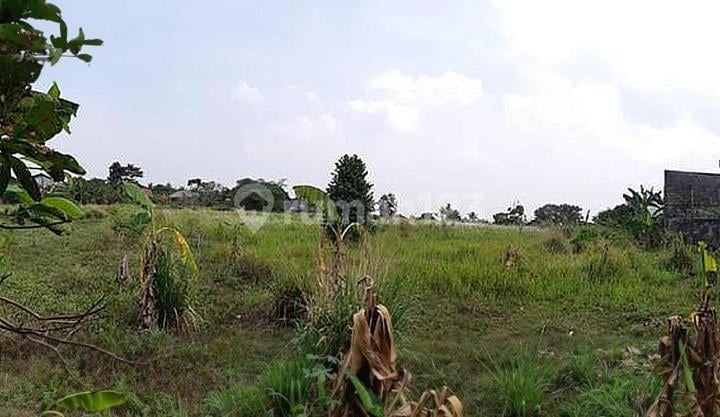 Tanah Murah 2 Jutaan Di Mandala Raya Karedenan Cibinong Bogor