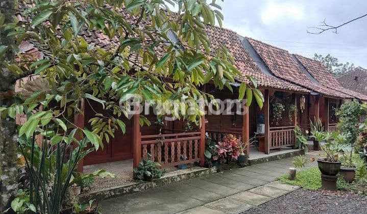 Tanah + Homestay Di Patuk Gunung Kidul