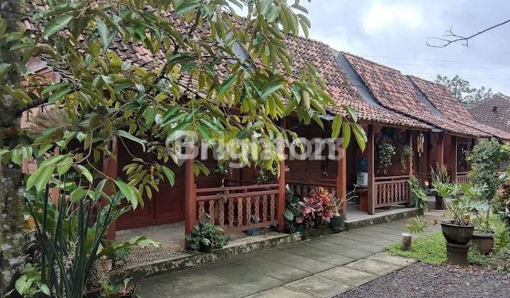 Tanah + Homestay Di Patuk Gunung Kidul