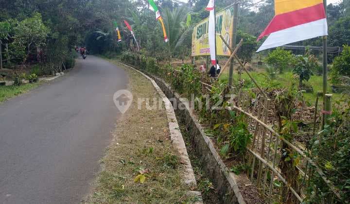 Kavling Murah Di Agrowisata Gandamanis, Desa Bangkonal Pandegelang Banten