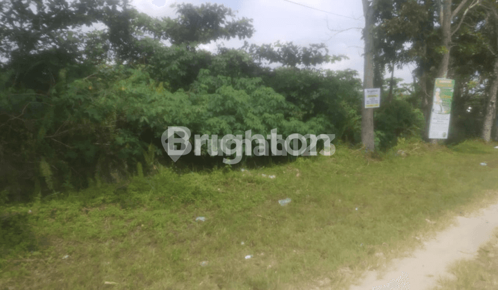 Tanah di JL. DELIMA, Kota Waringin Barat Sertifikat Hak Milik 7.448 m²