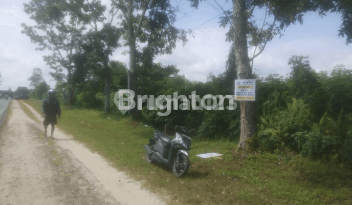 Tanah di Jl. Kumai Batu Belaman, Kota Waringin Barat Sertifikat Hak Milik 20.000 m²