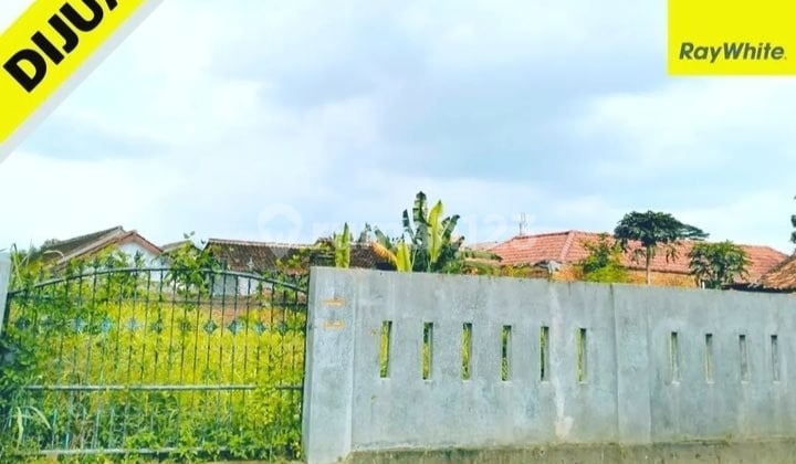 CEPAT TANAH MURAH KEDAMAIAN BANDAR LAMPUNG