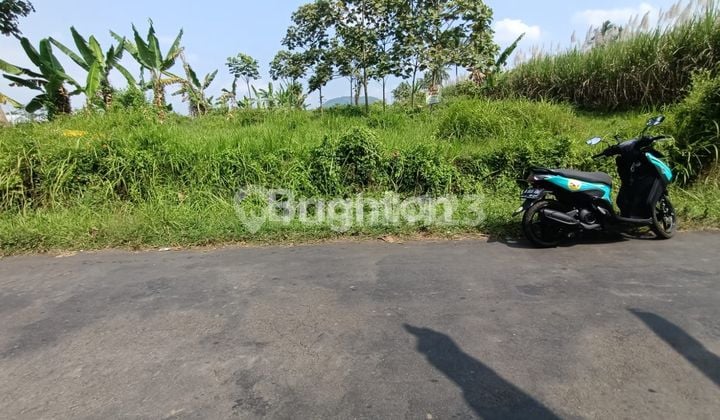 TANAH 2100 M DI JAMURAN, SUKODADI, KEC WAGIR, KAB MALANG TANAH 2100 M DI JAMURAN, SUKODADI, KEC WAGIR, KAB MALANG