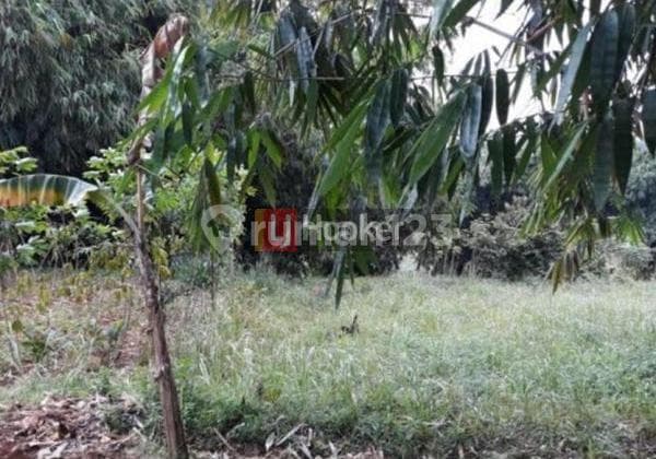 Tanah SHM Luas 8.065 di Cinangka Sawangan Depok 9km dr tol Limo