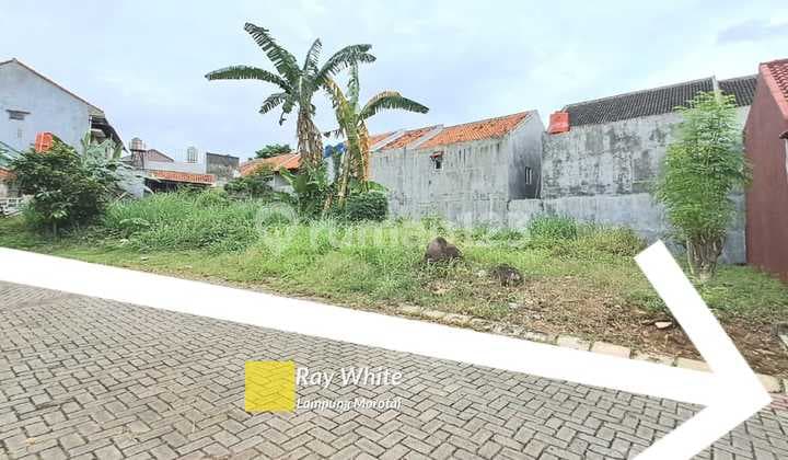 Land Ready to Build ml