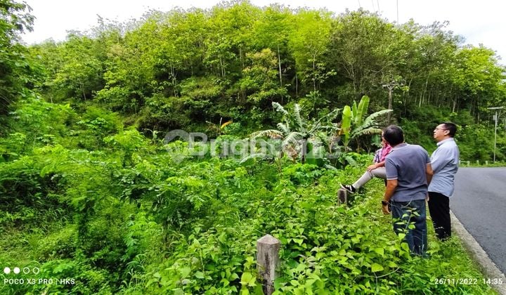 Dijual Tanah Murah Meriah di Praci Wonogiri