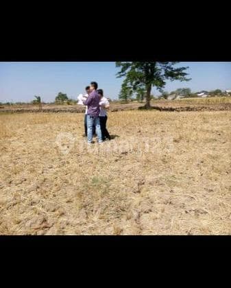 Prime Commercial Land in Dadap Kuning, Cerme, Gresik