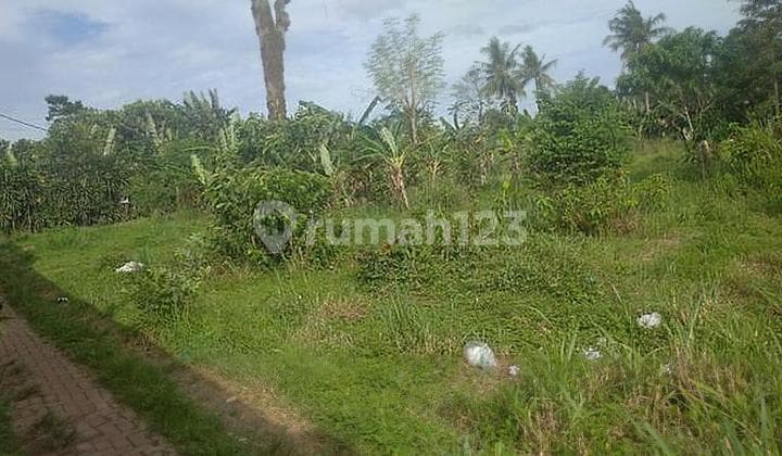 Kavling jln jengkol ,babakan, setu, tangsel