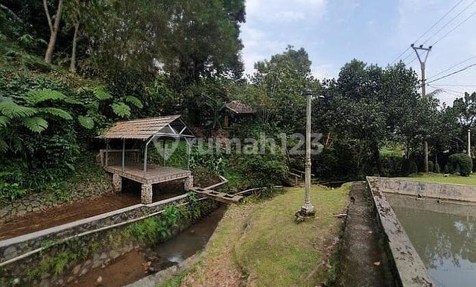 Tanah Cocok Buat Villa Di Cijeruk Dekat Duren Warso