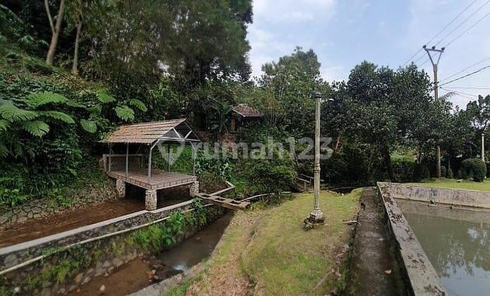 Tanah Cocok Buat Villa Di Cijeruk Dekat Duren Warso