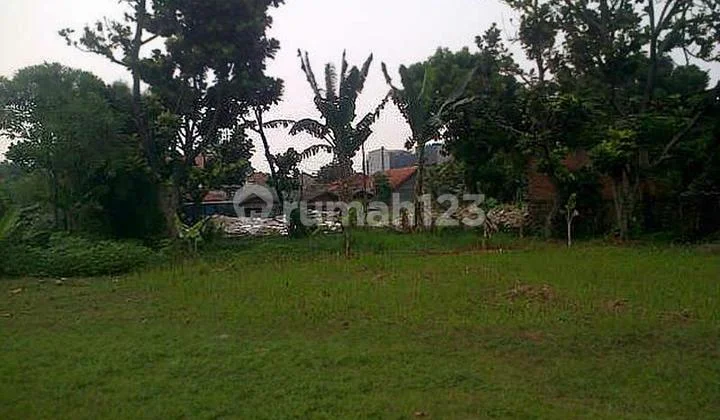 For Sale Land in Sunter Behind. Maple Park CCK For Warehouse, Office, Workshop Cheap Rarely Available For Sale Land in Sunter Behind. Maple Park CCK For Warehouse, Office, Workshop Cheap Rarely Available