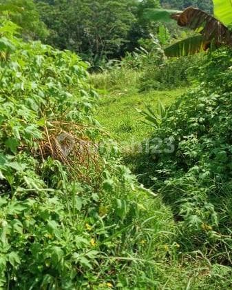 Cijengkol cianjur tanah dijual