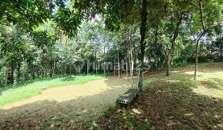 Tanah diKalisuren Tajur Halang Bogor, Berkontur, di Pinggir Jalan