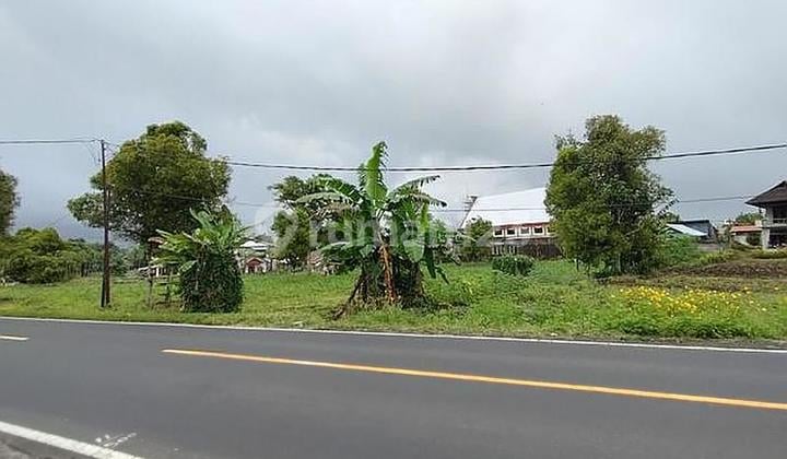 Tanah Komersil, Hook, Kawasan Berkembang Pinggir Jalan Raya Sonder Atas Minahasa Manado