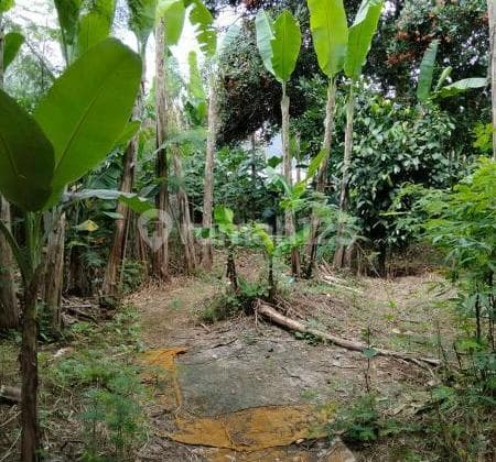 Ready-to-Build Plot in Graha Cinere Complex