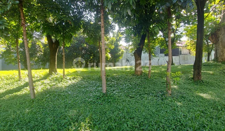 Internasional Village jl Telaga Utama citraland