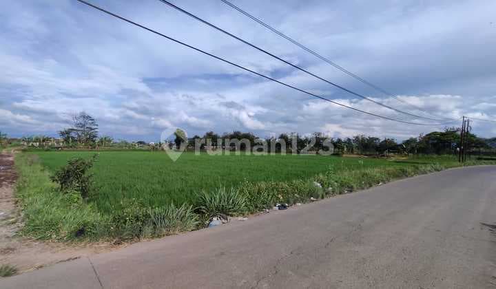 Sapan Land Designated for Warehouse