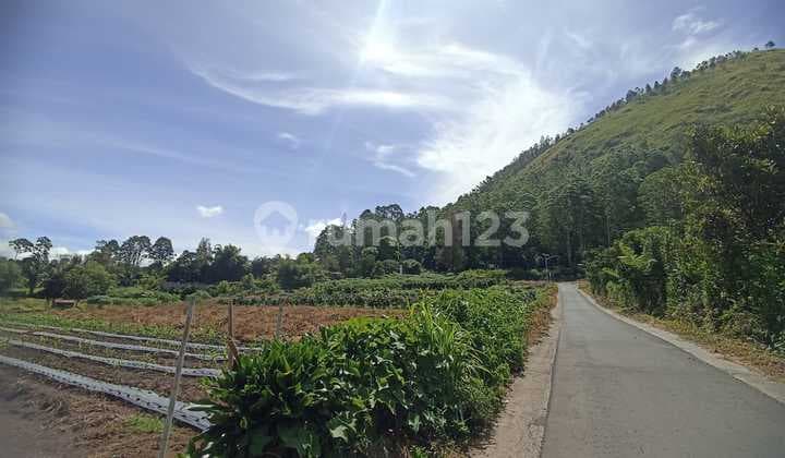 Tanah Rata Luas 60x120m Lokasi Karo Sumatera Cocok Untk Perumahan